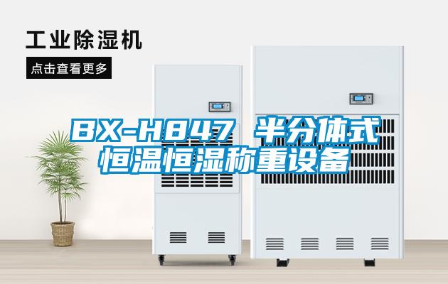 BX-H847 半分體式恒溫恒濕稱重設備