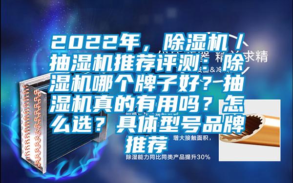2022年，除濕機／抽濕機推薦評測：除濕機哪個牌子好？抽濕機真的有用嗎？怎么選？具體型號品牌推薦