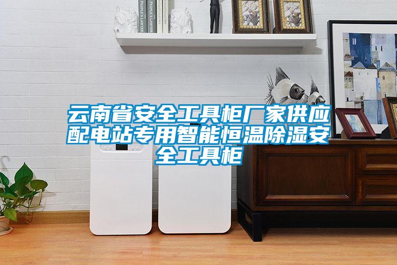 云南省安全工具柜廠家供應配電站專用智能恒溫除濕安全工具柜