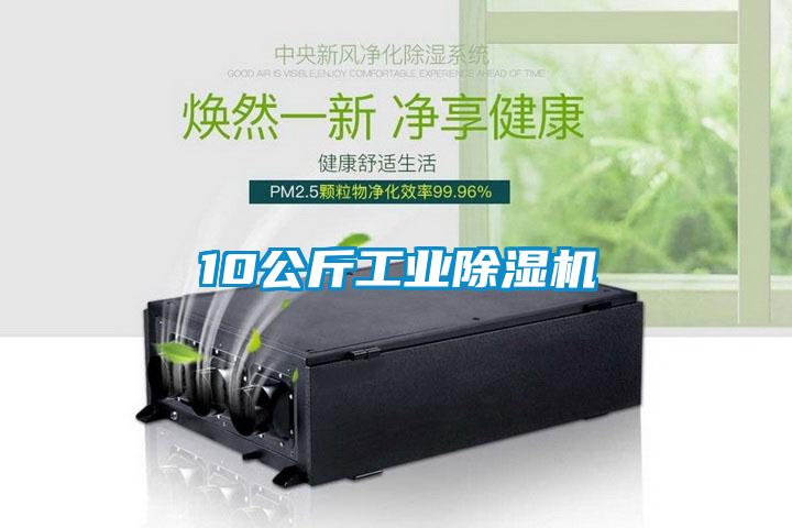 10公斤工業(yè)除濕機
