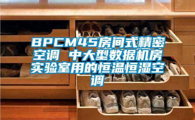 BPCM45房間式精密空調 中大型數據機房實驗室用的恒溫恒濕空調