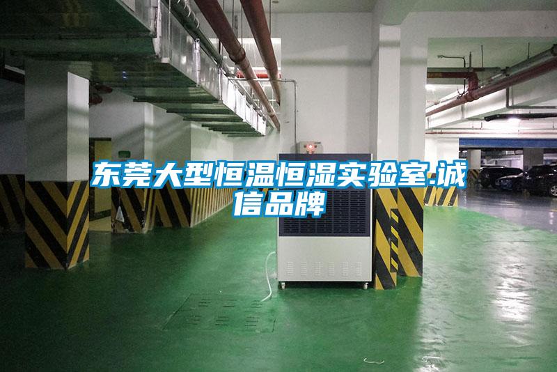 東莞大型恒溫恒濕實(shí)驗(yàn)室.誠信品牌