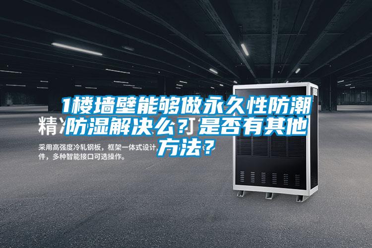 1樓墻壁能夠做永久性防潮防濕解決么?是否有其他方法?