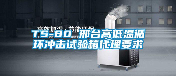TS-80 邢臺高低溫循環沖擊試驗箱代理要求