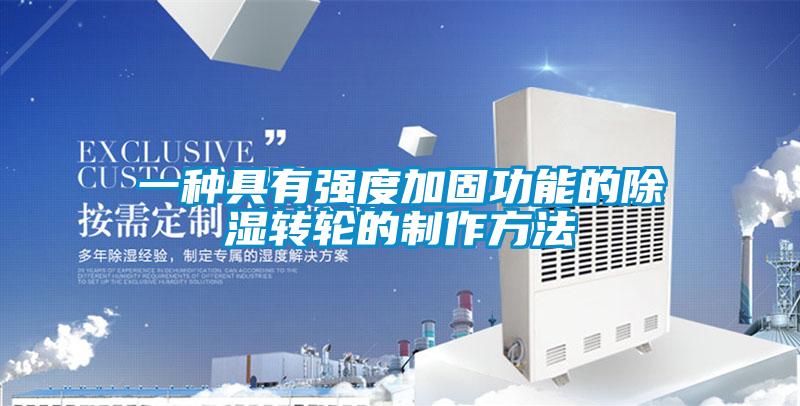 一種具有強度加固功能的除濕轉輪的制作方法