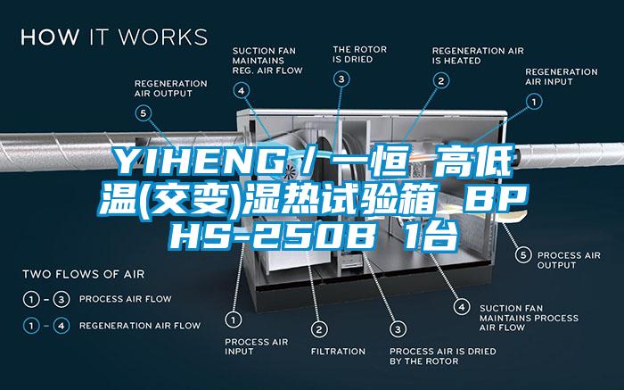 YIHENG／一恒 高低溫(交變)濕熱試驗(yàn)箱 BPHS-250B 1臺(tái)