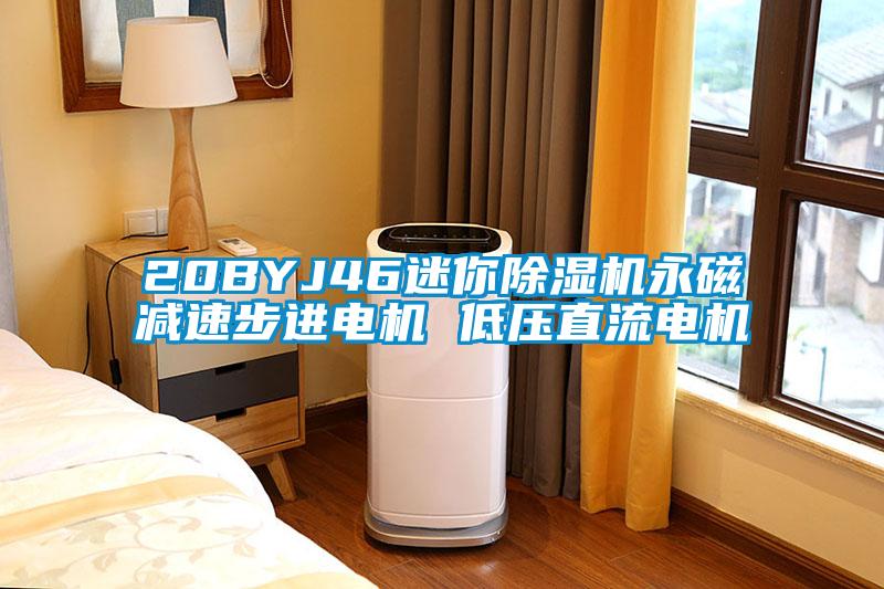 20BYJ46迷你除濕機永磁減速步進電機 低壓直流電機