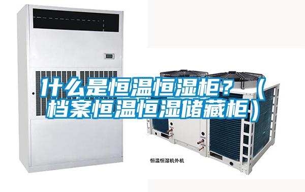 什么是恒溫恒濕柜？（檔案恒溫恒濕儲藏柜）