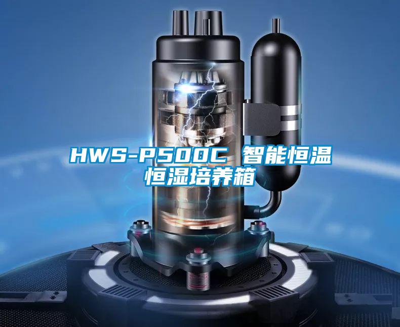 HWS-P500C 智能恒溫恒濕培養箱