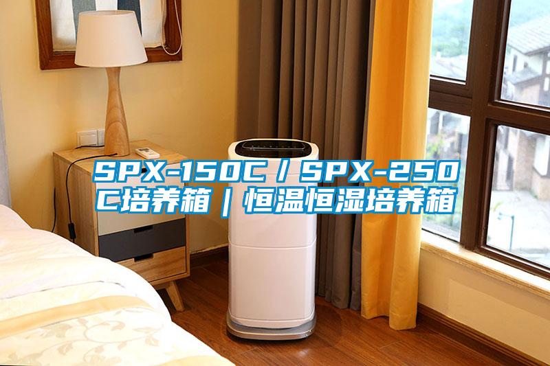 SPX-150C/SPX-250C培養(yǎng)箱|恒溫恒濕培養(yǎng)箱