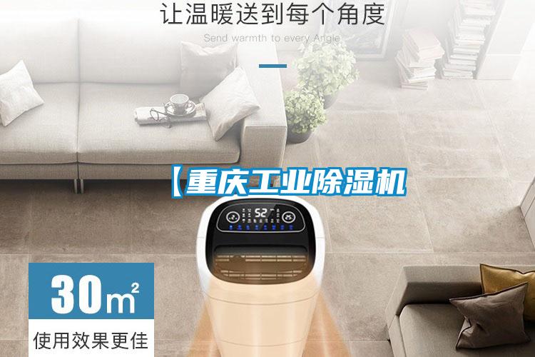 【重慶工業(yè)除濕機(jī)
