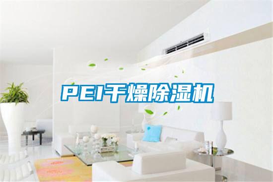PEI干燥除濕機