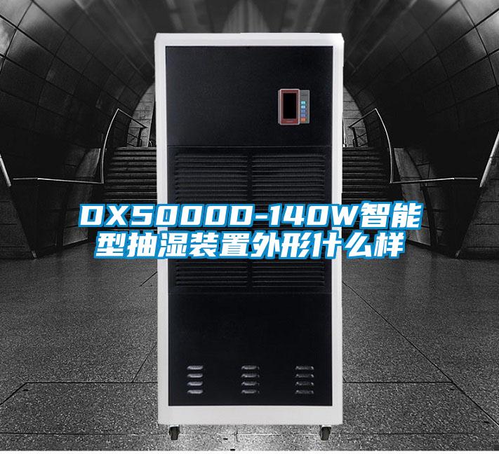 DX5000D-140W智能型抽濕裝置外形什么樣