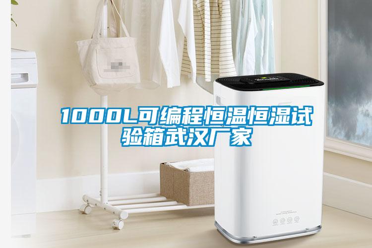 1000L可編程恒溫恒濕試驗箱武漢廠家