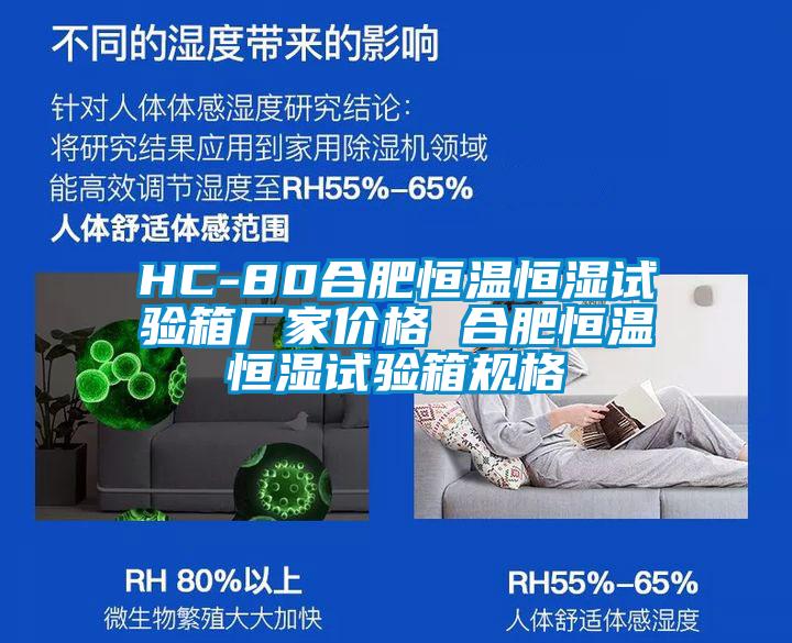 HC-80合肥恒溫恒濕試驗箱廠家價格 合肥恒溫恒濕試驗箱規格