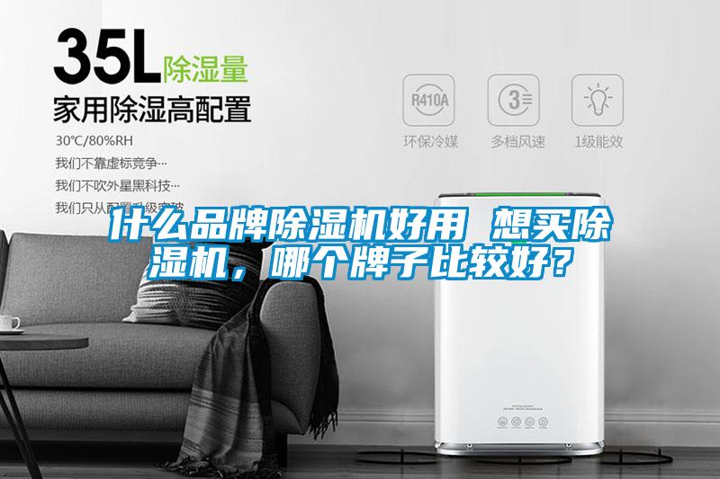 什么品牌除濕機好用 想買除濕機，哪個牌子比較好？