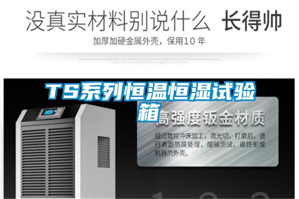 TS系列恒溫恒濕試驗箱