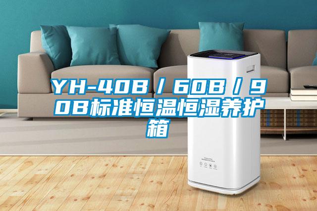 YH-40B／60B／90B標(biāo)準(zhǔn)恒溫恒濕養(yǎng)護(hù)箱