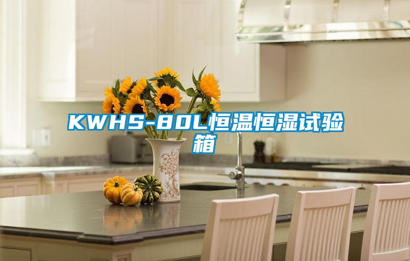 KWHS-80L恒溫恒濕試驗(yàn)箱