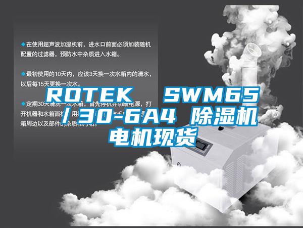 ROTEK  SWM65／30-6A4 除濕機(jī)電機(jī)現(xiàn)貨
