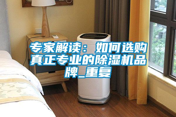 專家解讀:如何選購真正專業的除濕機品牌_重復