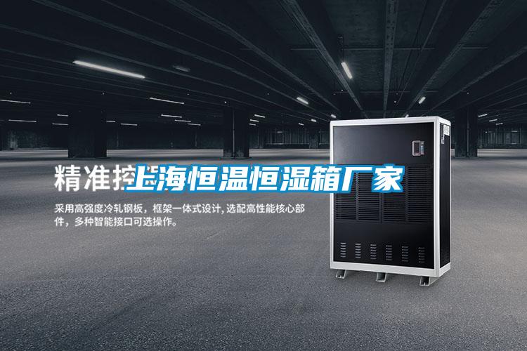 上海恒溫恒濕箱廠家