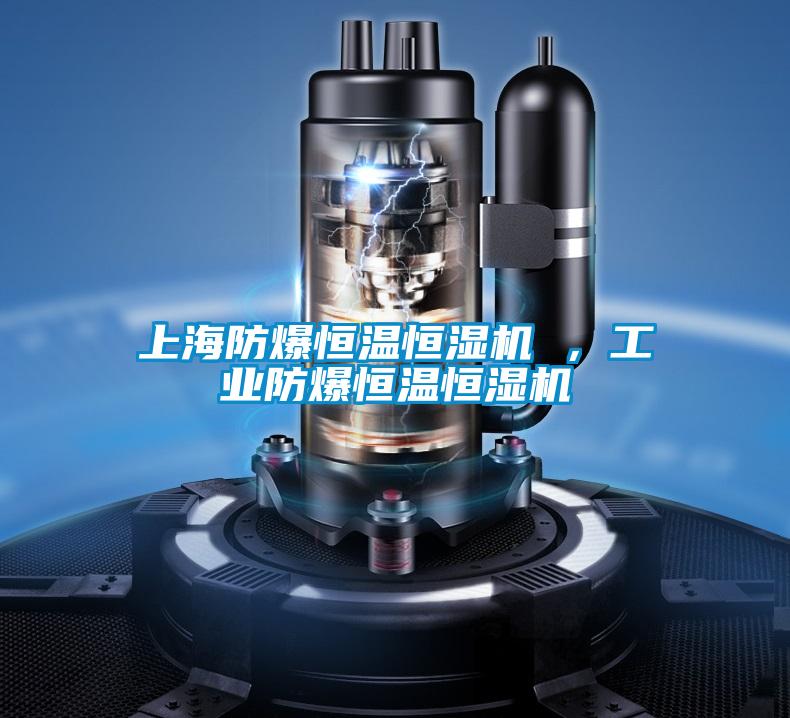 上海防爆恒溫恒濕機 ，工業防爆恒溫恒濕機