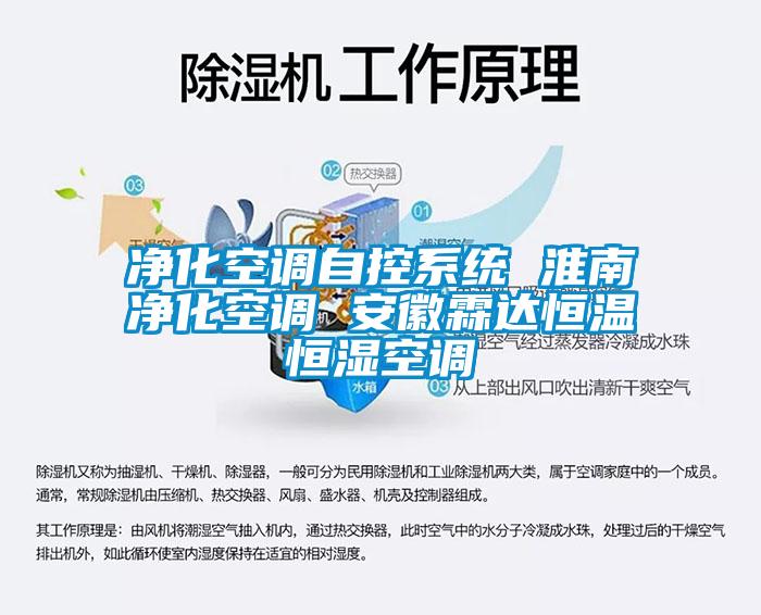 凈化空調自控系統(tǒng) 淮南凈化空調 安徽霖達恒溫恒濕空調