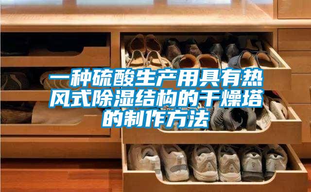 一種硫酸生產用具有熱風式除濕結構的干燥塔的制作方法