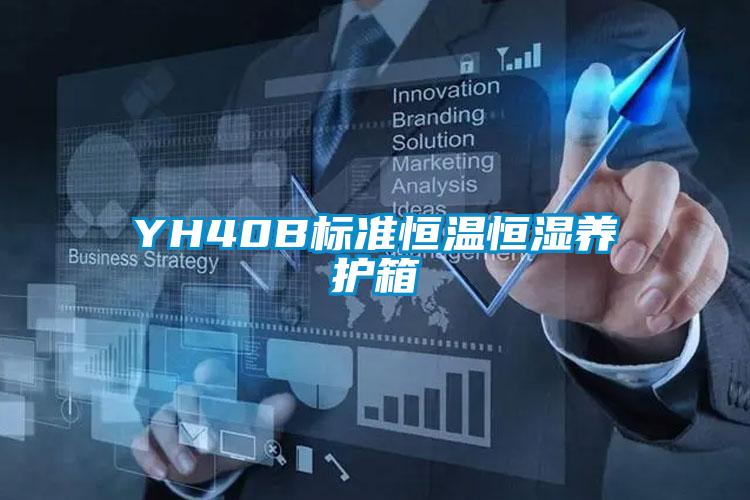 YH40B標(biāo)準(zhǔn)恒溫恒濕養(yǎng)護(hù)箱