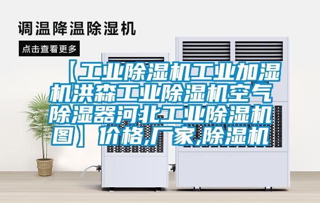 【工業除濕機工業加濕機洪森工業除濕機空氣除濕器河北工業除濕機圖】價格,廠家,除濕機
