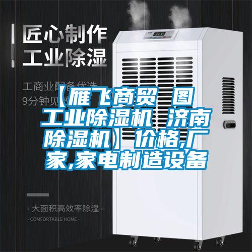 【雁飛商貿 圖  工業除濕機 濟南除濕機】價格,廠家,家電制造設備