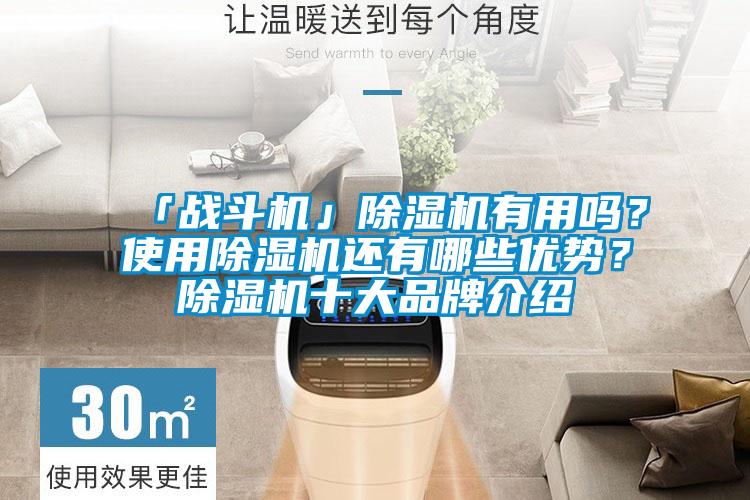 「戰斗機」除濕機有用嗎？使用除濕機還有哪些優勢？除濕機十大品牌介紹