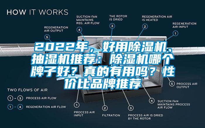 2022年，好用除濕機、抽濕機推薦：除濕機哪個牌子好？真的有用嗎？性價比品牌推薦