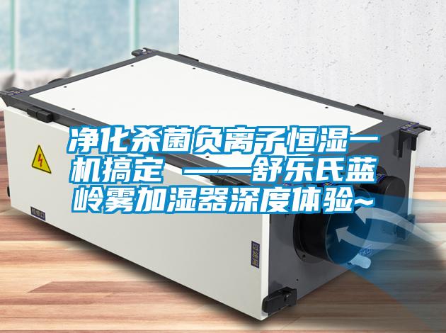 凈化殺菌負離子恒濕一機搞定 ——舒樂氏藍嶺霧加濕器深度體驗~