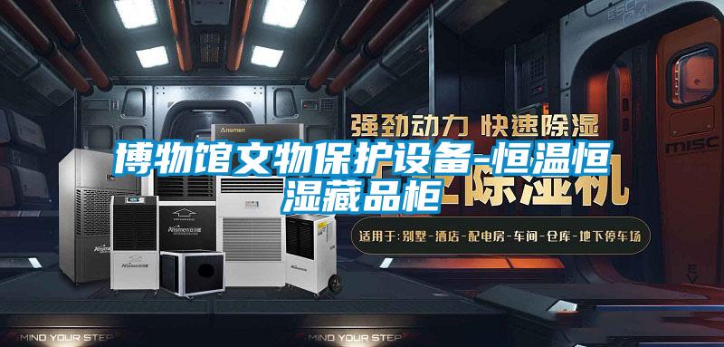 博物館文物保護設備-恒溫恒濕藏品柜
