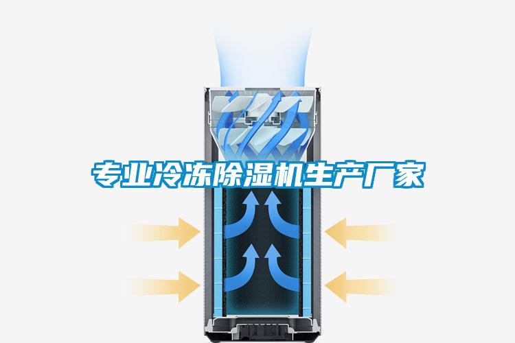 專業(yè)冷凍除濕機生產(chǎn)廠家