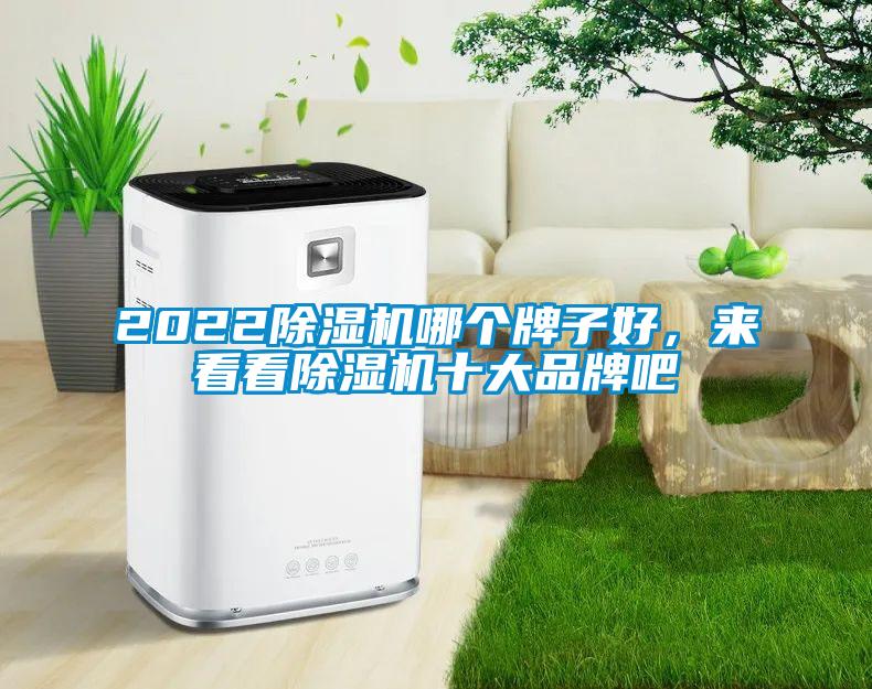 2022除濕機哪個牌子好，來看看除濕機十大品牌吧