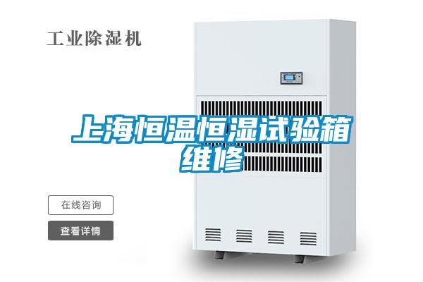 上海恒溫恒濕試驗箱維修
