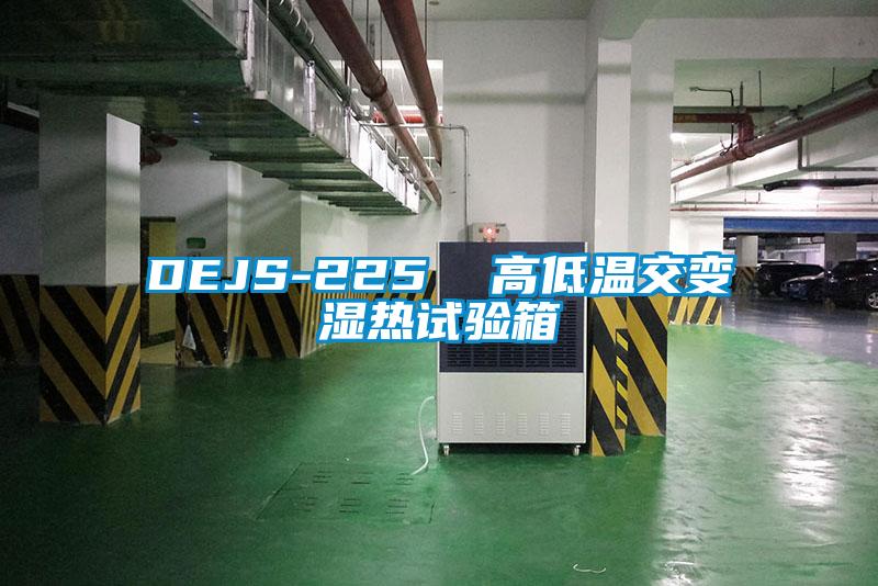 DEJS-225  高低溫交變濕熱試驗箱