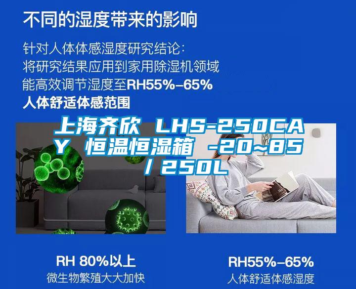 上海齊欣 LHS-250CAY 恒溫恒濕箱 -20~85℃／250L