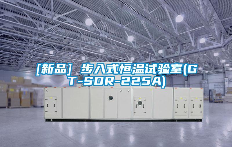 [新品] 步入式恒溫試驗室(GT-SDR-225A)