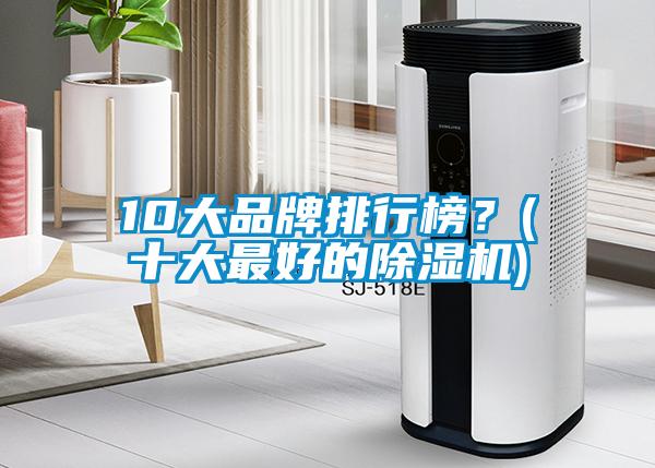 10大品牌排行榜?(十大最好的除濕機)