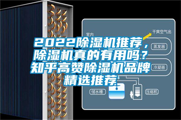 2022除濕機推薦，除濕機真的有用嗎？知乎高贊除濕機品牌精選推薦