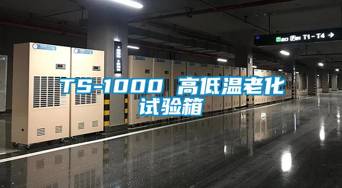 TS-1000 高低溫老化試驗箱