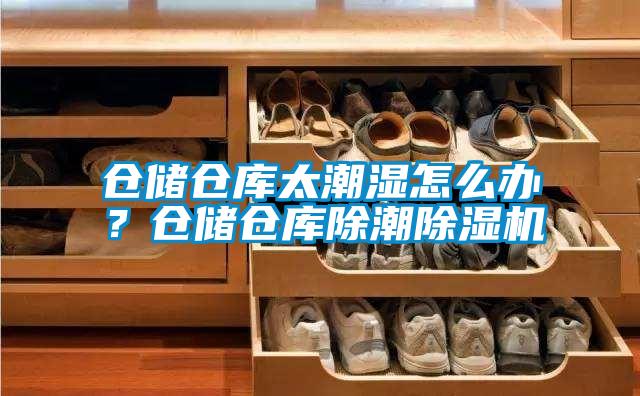 倉儲倉庫太潮濕怎么辦？倉儲倉庫除潮除濕機