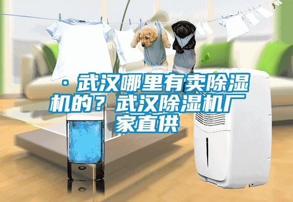 ·武漢哪里有賣除濕機的？武漢除濕機廠家直供