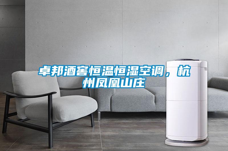 卓邦酒窖恒溫恒濕空調，杭州鳳凰山莊