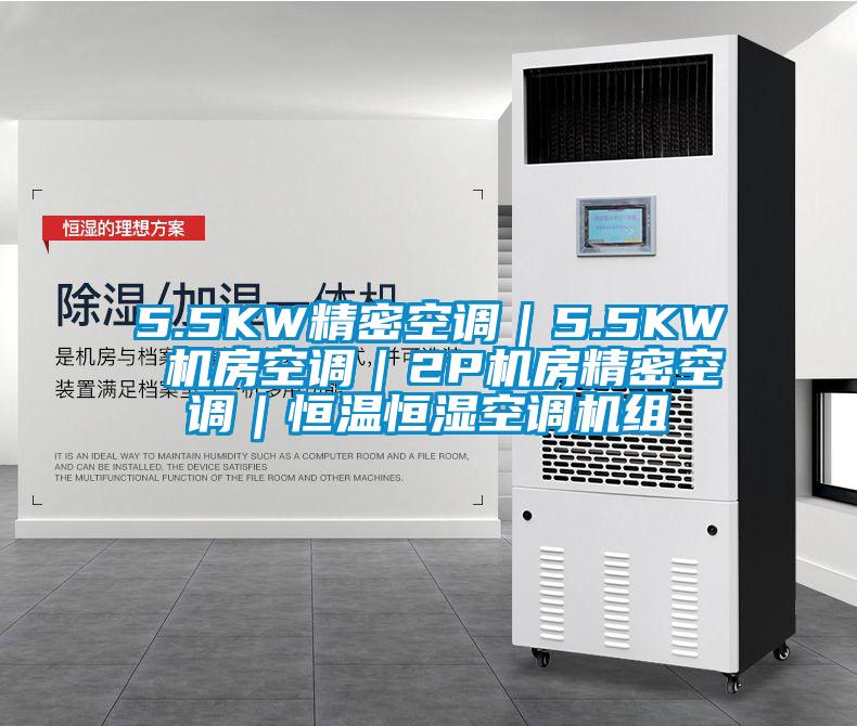 5.5KW精密空調｜5.5KW 機房空調｜2P機房精密空調｜恒溫恒濕空調機組