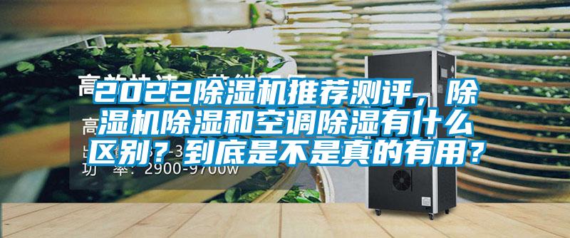 2022除濕機推薦測評，除濕機除濕和空調(diào)除濕有什么區(qū)別？到底是不是真的有用？
